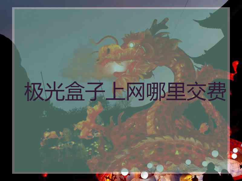 极光盒子上网哪里交费