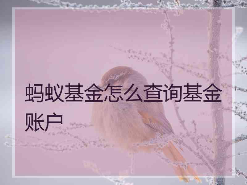 蚂蚁基金怎么查询基金账户