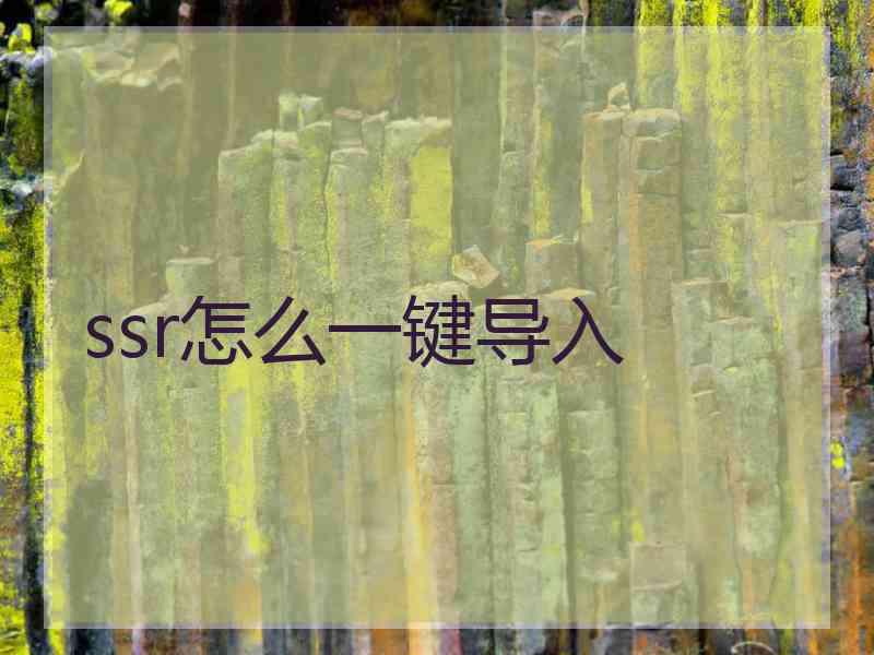 ssr怎么一键导入