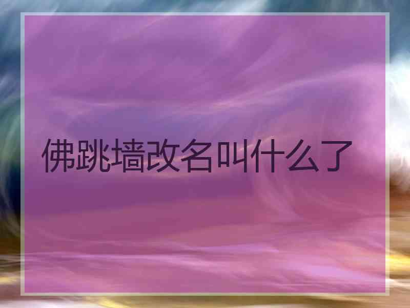 佛跳墙改名叫什么了