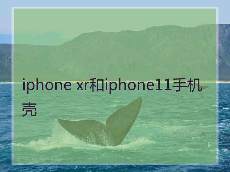 iphone xr和iphone11手机壳