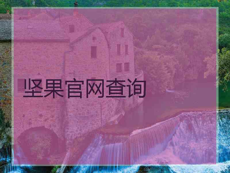 坚果官网查询