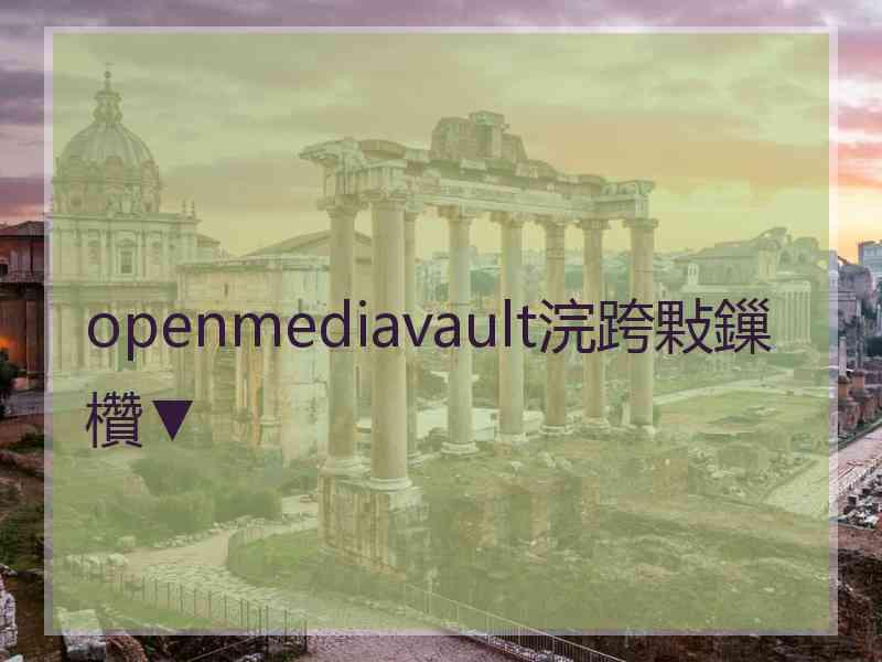 openmediavault浣跨敤鏁欑▼