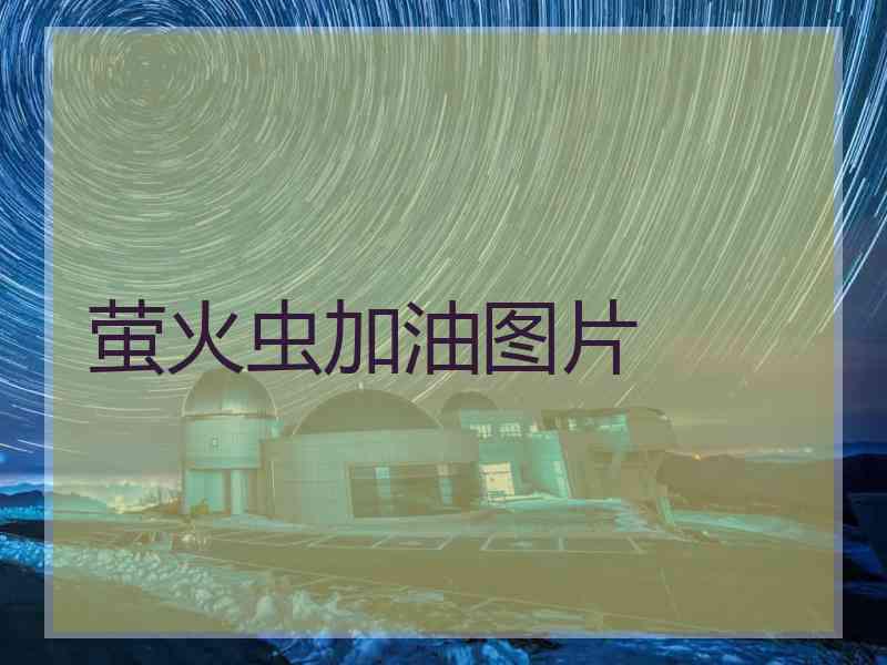 萤火虫加油图片