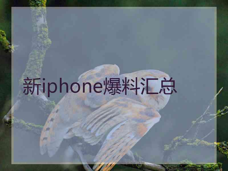 新iphone爆料汇总