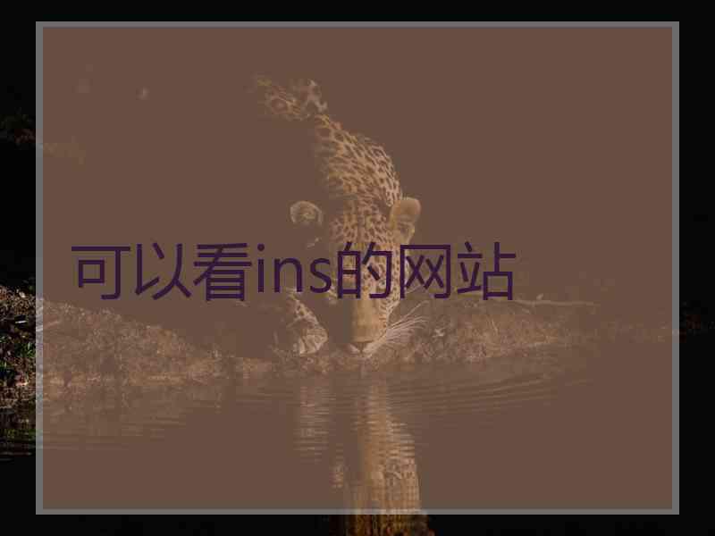 可以看ins的网站
