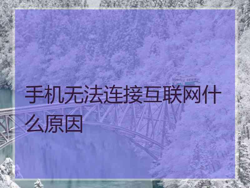 手机无法连接互联网什么原因