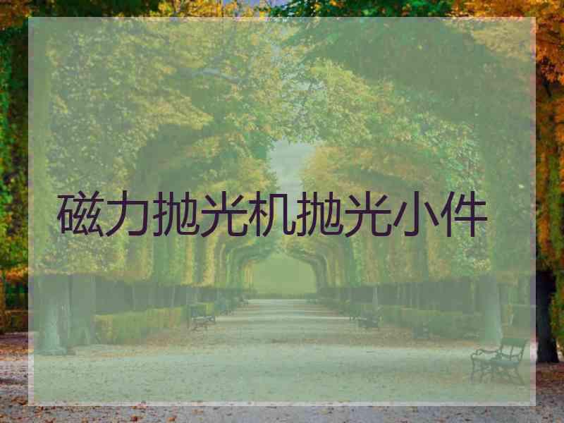 磁力抛光机抛光小件