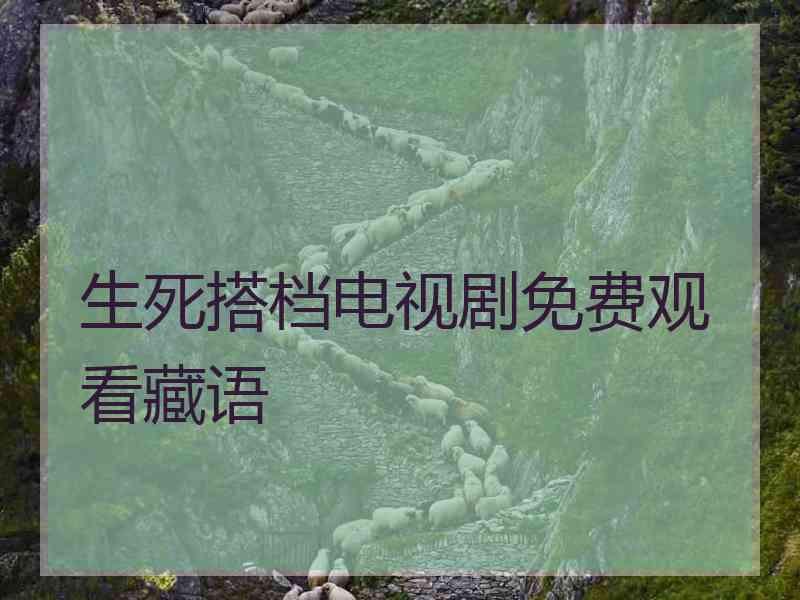 生死搭档电视剧免费观看藏语