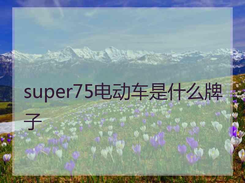 super75电动车是什么牌子
