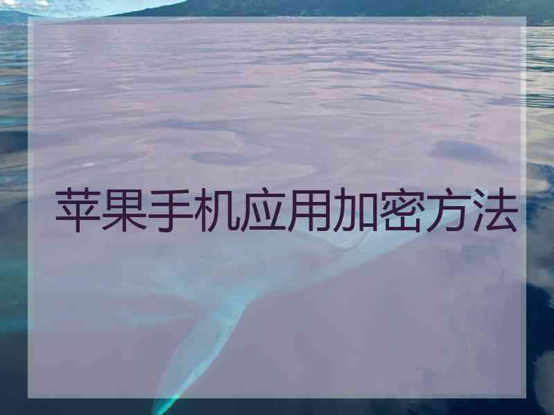 苹果手机应用加密方法