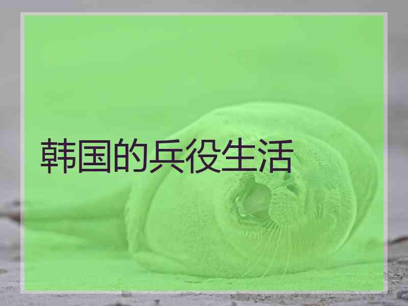 韩国的兵役生活