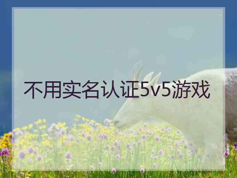 不用实名认证5v5游戏