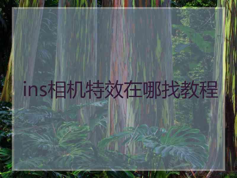 ins相机特效在哪找教程