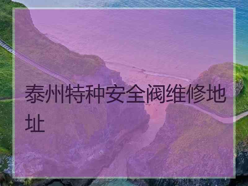 泰州特种安全阀维修地址