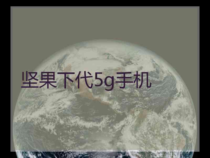 坚果下代5g手机