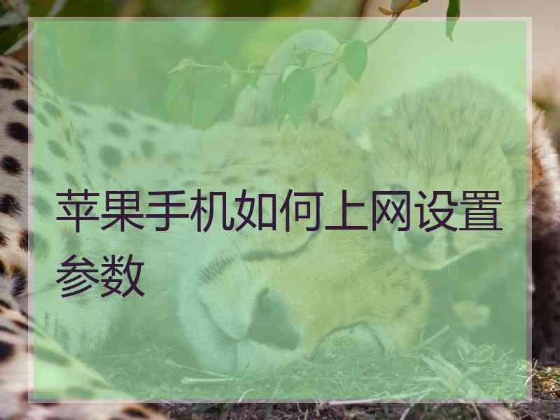 苹果手机如何上网设置参数