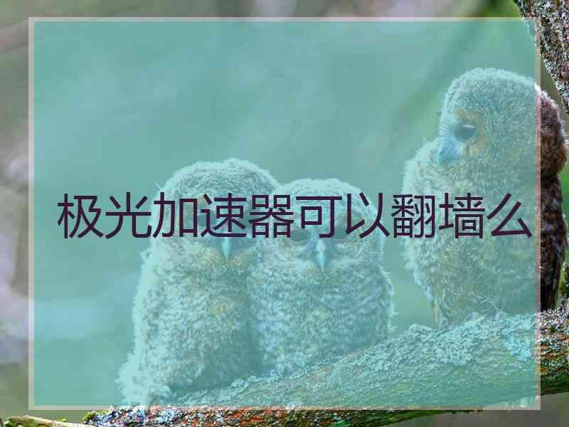 极光加速器可以翻墙么