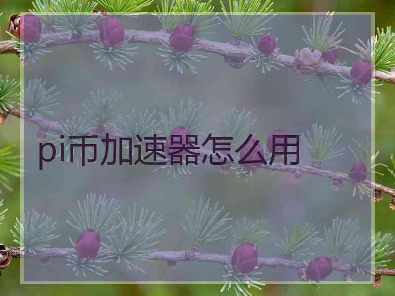 pi币加速器怎么用