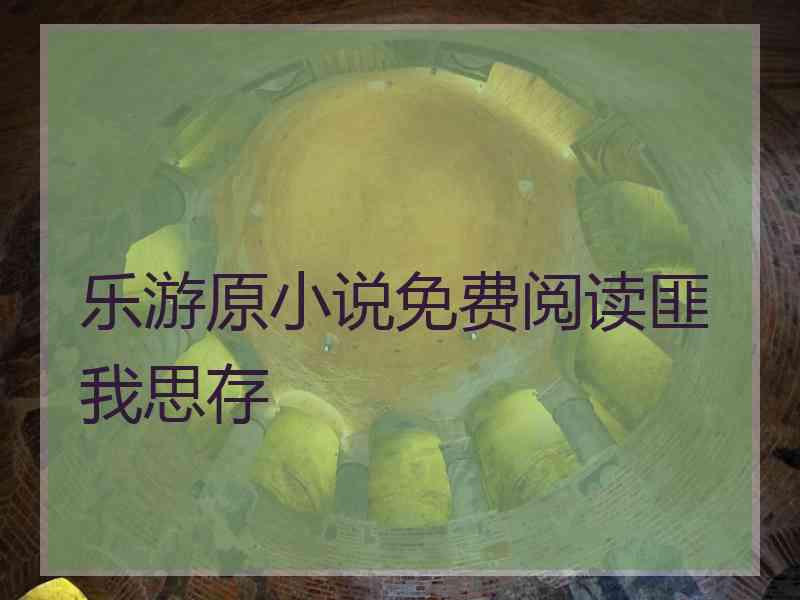 乐游原小说免费阅读匪我思存