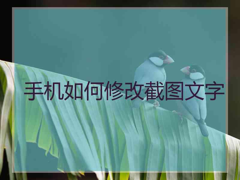 手机如何修改截图文字