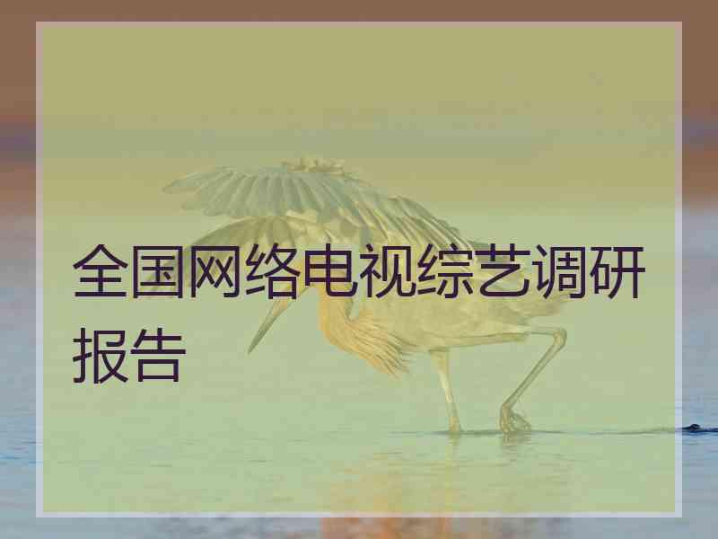 全国网络电视综艺调研报告