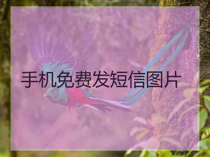 手机免费发短信图片