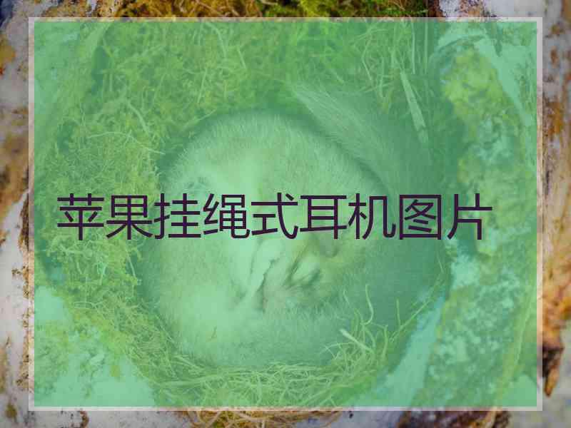 苹果挂绳式耳机图片