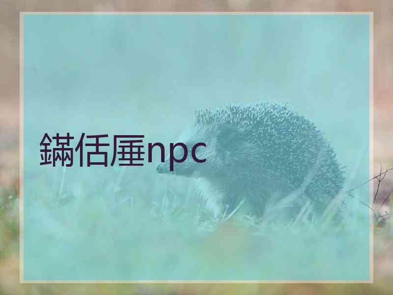 鏋佸厜npc