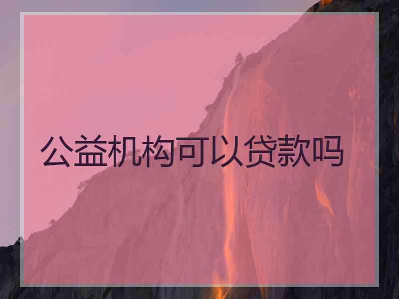公益机构可以贷款吗
