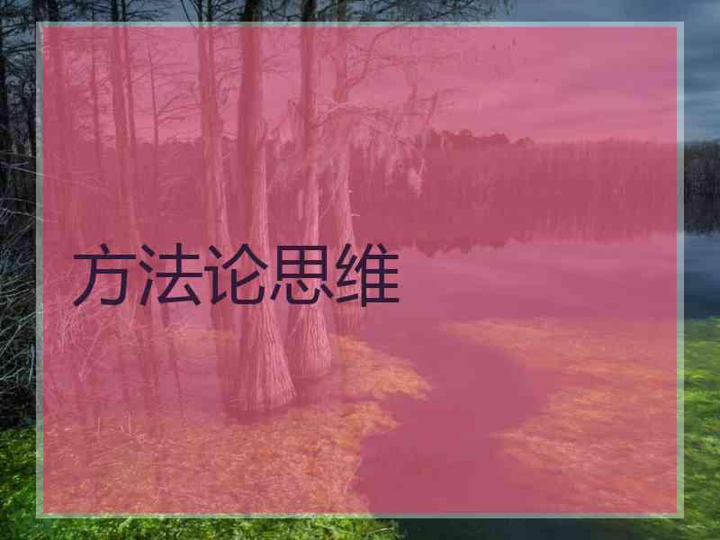 方法论思维