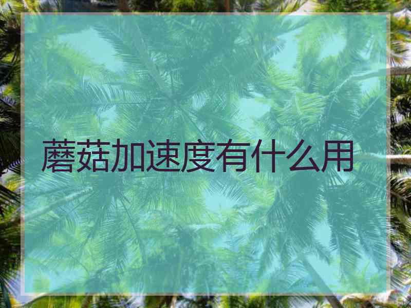 蘑菇加速度有什么用