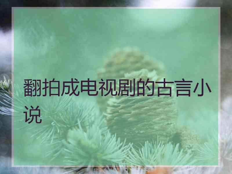 翻拍成电视剧的古言小说