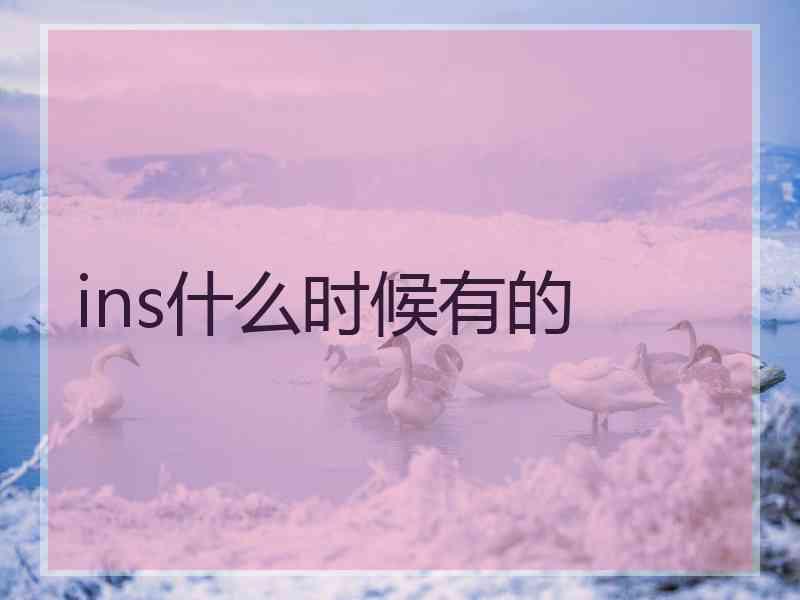 ins什么时候有的