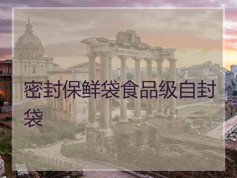 密封保鲜袋食品级自封袋