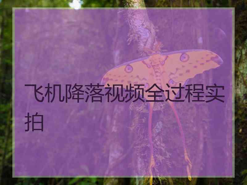 飞机降落视频全过程实拍