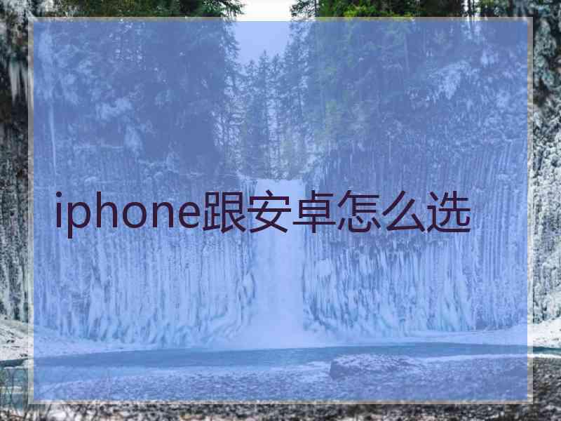 iphone跟安卓怎么选