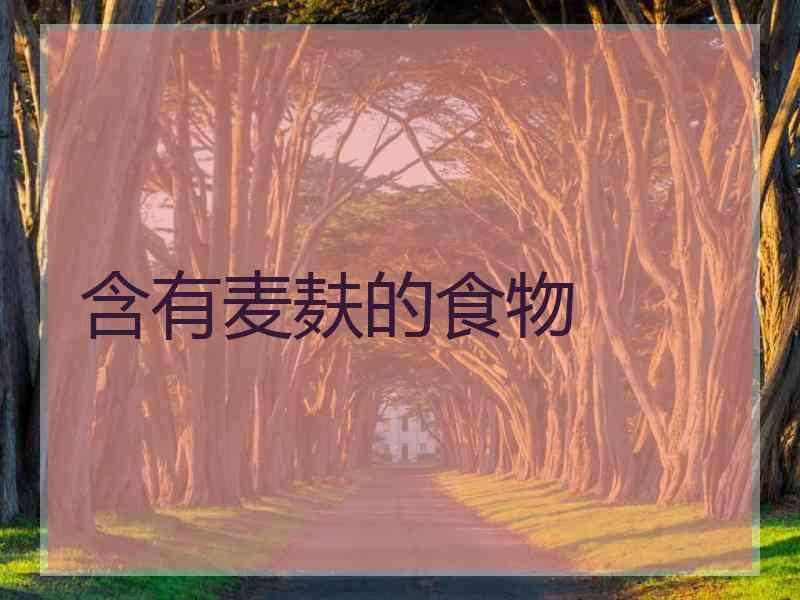 含有麦麸的食物
