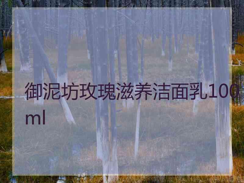 御泥坊玫瑰滋养洁面乳100ml