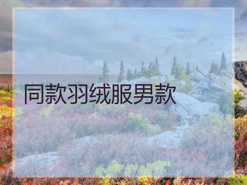 同款羽绒服男款