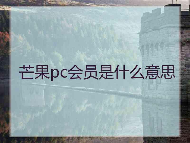 芒果pc会员是什么意思