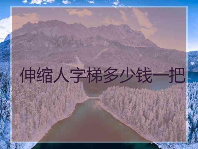 伸缩人字梯多少钱一把
