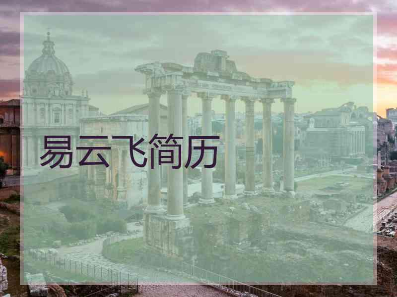 易云飞简历