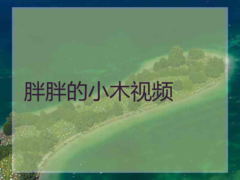胖胖的小木视频