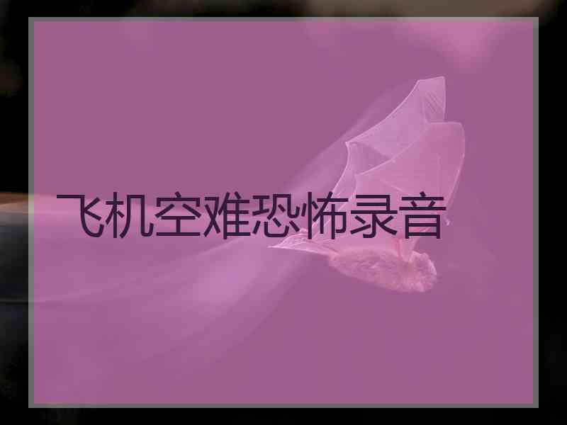 飞机空难恐怖录音