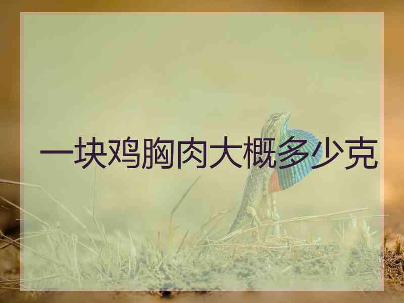 一块鸡胸肉大概多少克
