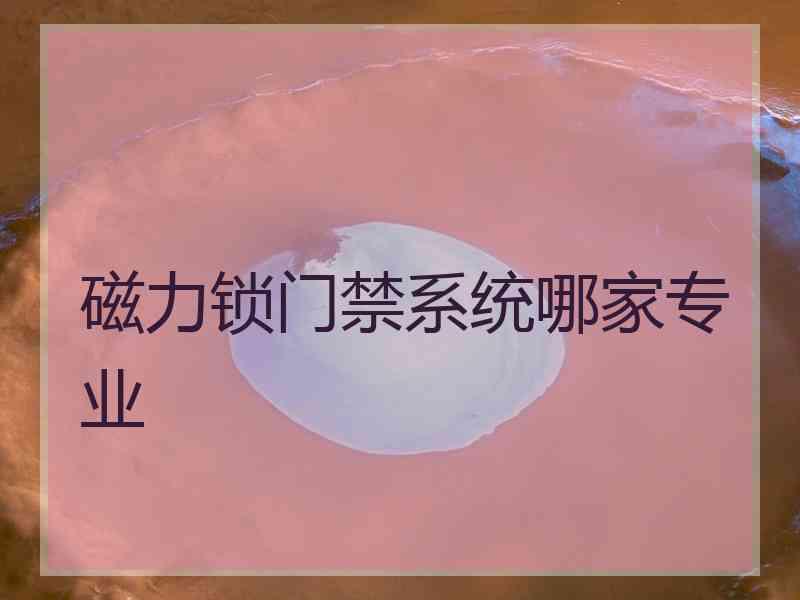 磁力锁门禁系统哪家专业