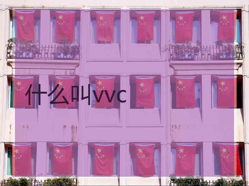 什么叫vvc