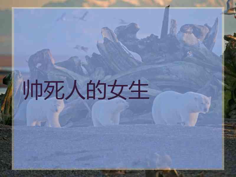 帅死人的女生
