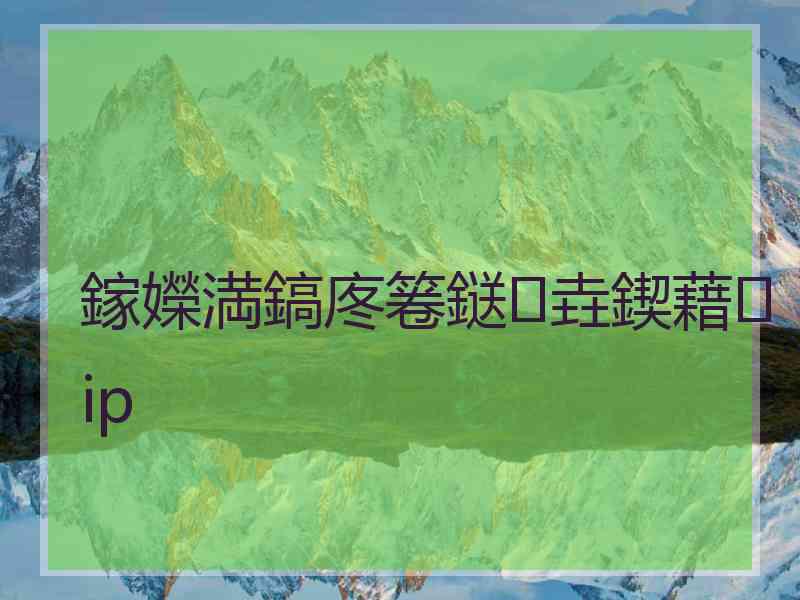 鎵嬫満鎬庝箞鎹㈡垚鍥藉ip